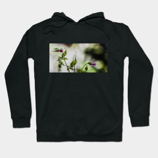 Pink Flowers Hoodie